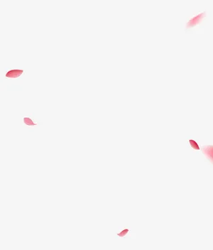 花瓣免抠
