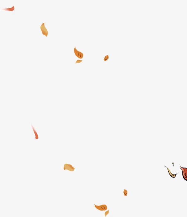 漂浮树叶免抠