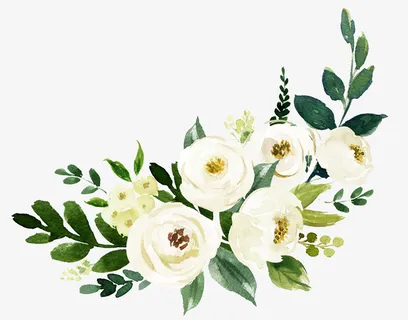 手绘植物花卉装饰免抠