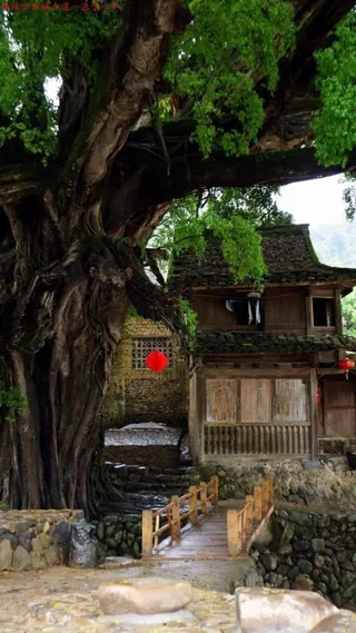 小路和树林树下的小屋免抠