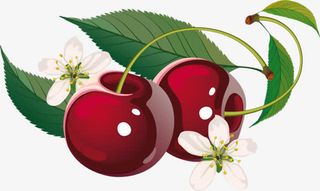 绿叶花朵樱桃免抠