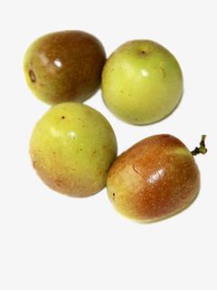 青色枣子免抠