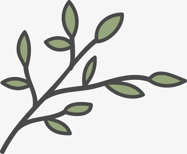 卡通简约手绘树枝免抠