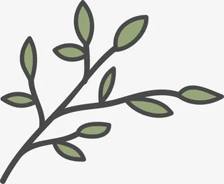 卡通简约手绘树枝免抠