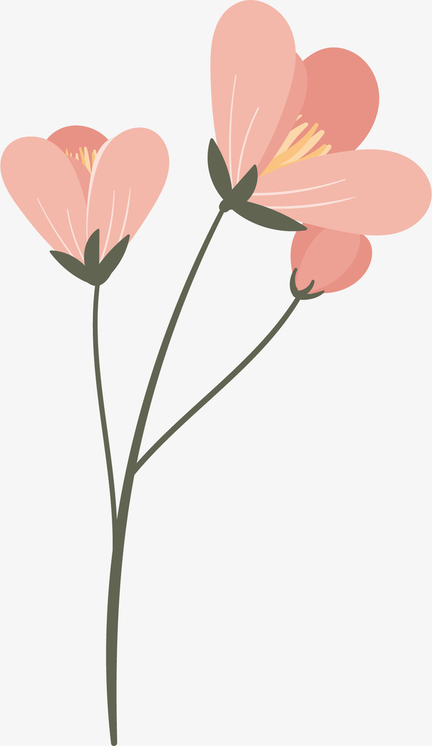 一束花朵免抠