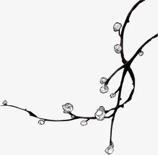 手绘树枝白色小花免抠