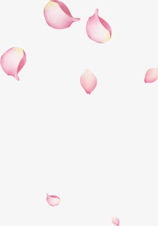 飘舞粉色渐变花瓣免抠