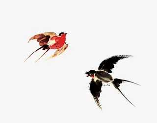 水墨鸟画免抠装饰动物元素