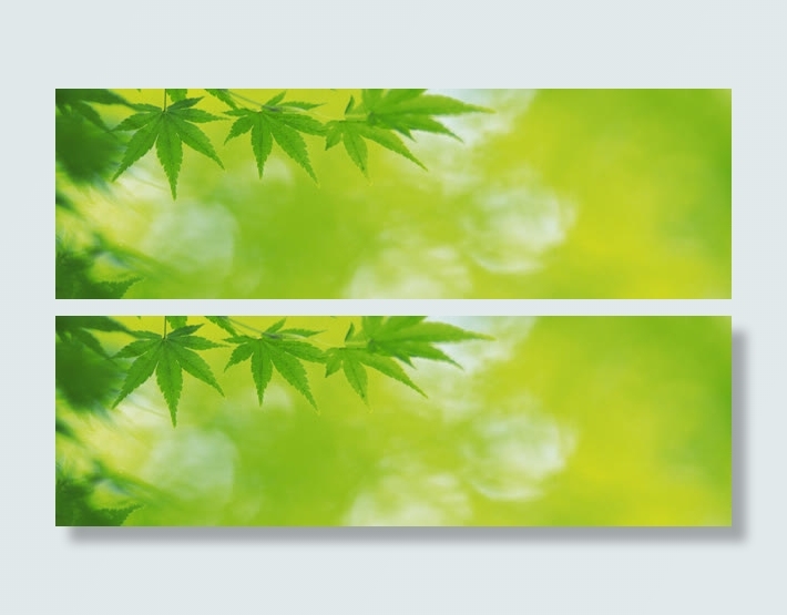 树叶背景
