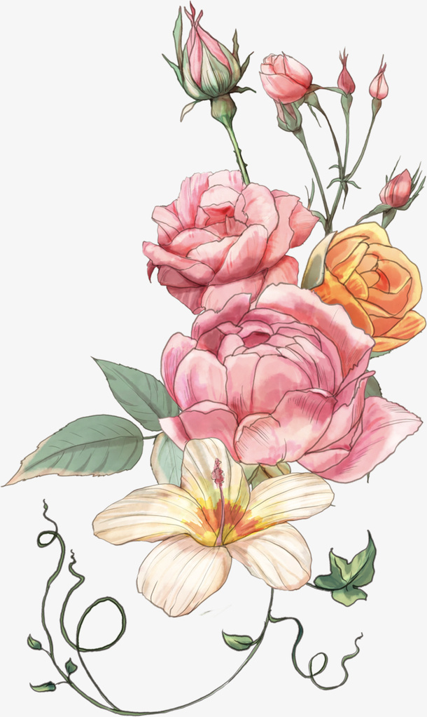 粉色月季花免抠图免抠