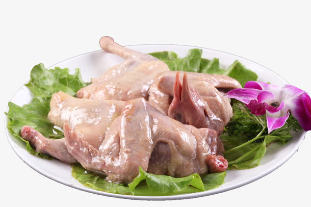 乳鸽免抠