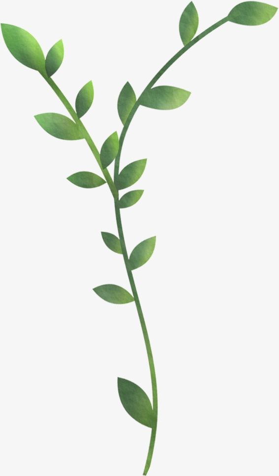 花绿色花径叶子免抠