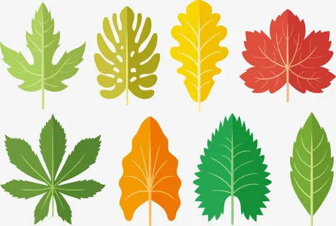矢量落叶免抠