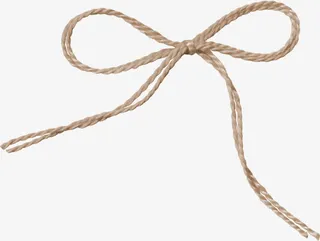 装饰圣诞节免抠