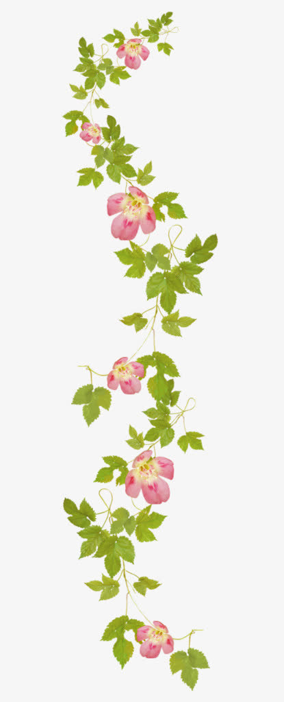 漂浮绿叶花朵png素材免抠