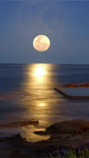 海上圆月H5背景高清