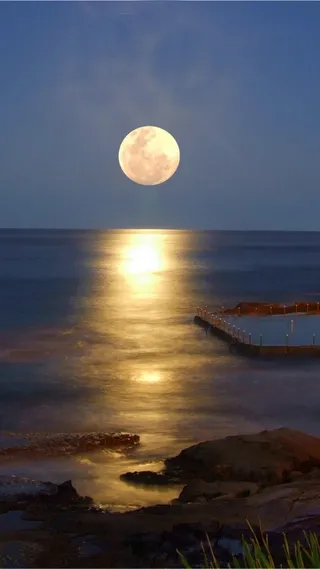 海上圆月H5背景高清