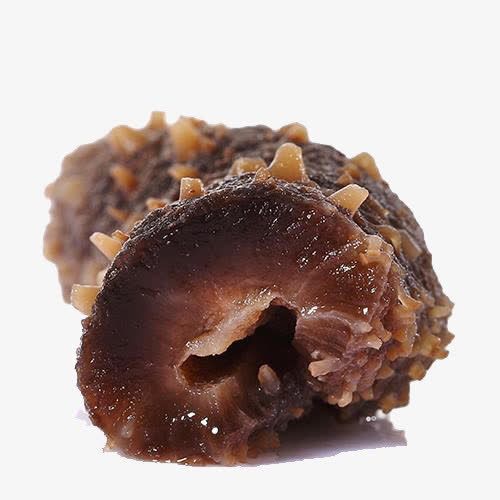 海参免抠素材免抠