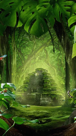 绿森林H5背景高清