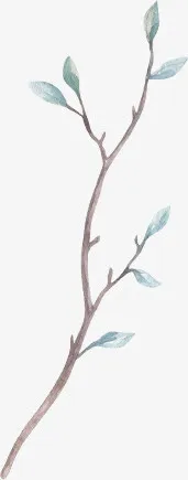 摄心女装海报手绘树枝效果图免抠