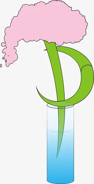 粉色康乃馨免抠