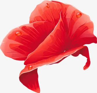 红色杜鹃花免抠