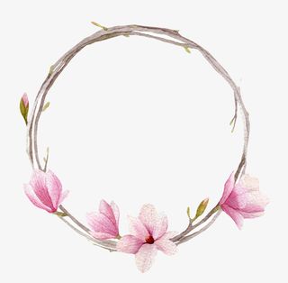 粉红色带香味树根围绕成圆的玉兰免抠