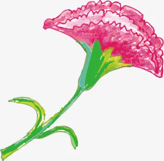 母亲节粉色康乃馨免抠