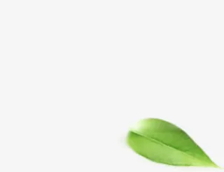 绿色春天漂浮树叶免抠