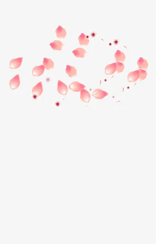 飘落的粉色花瓣素材免抠