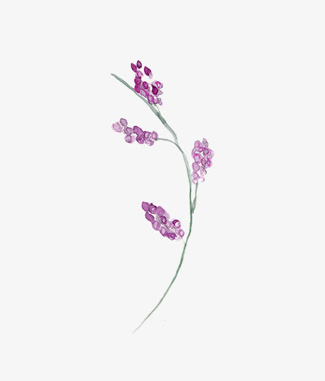 圣诞节手绘花纹素材免抠