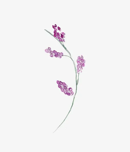 圣诞节手绘花纹素材免抠