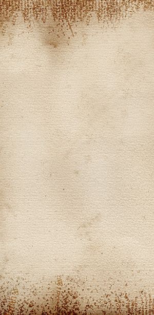 羊皮纸纹理H5背景高清