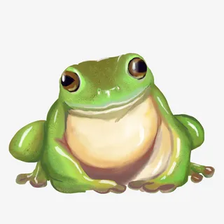 青蛙蛤蟆手绘元素免抠