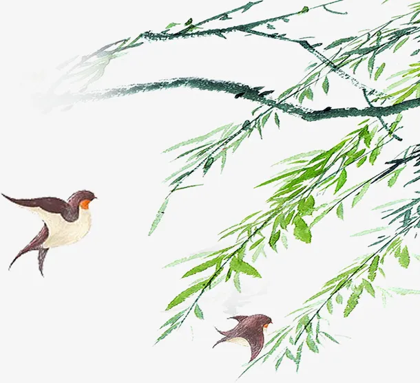 春天柳树燕子免抠