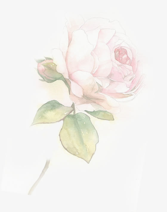 手绘玫瑰感恩母亲节展板免抠