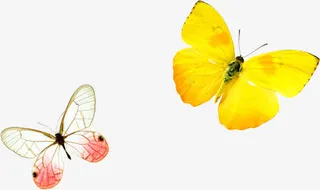 手绘飞扬卡通夏日蝴蝶免抠
