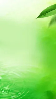 清新唯美的叶子和水波H5背景高清