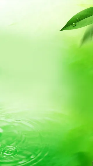 清新唯美的叶子和水波H5背景高清
