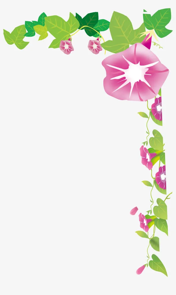 卡通牵牛花免抠