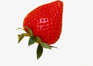 手绘草莓春节卡片免抠