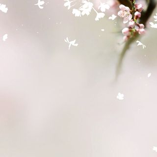 小清新背景高清