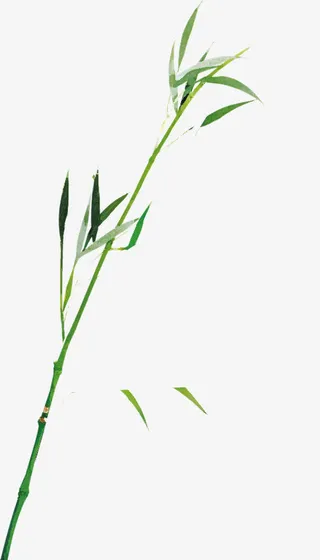 高清水墨绿色竹子竹叶免抠