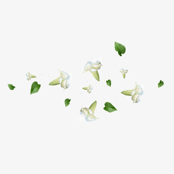 栀子花瓣免抠