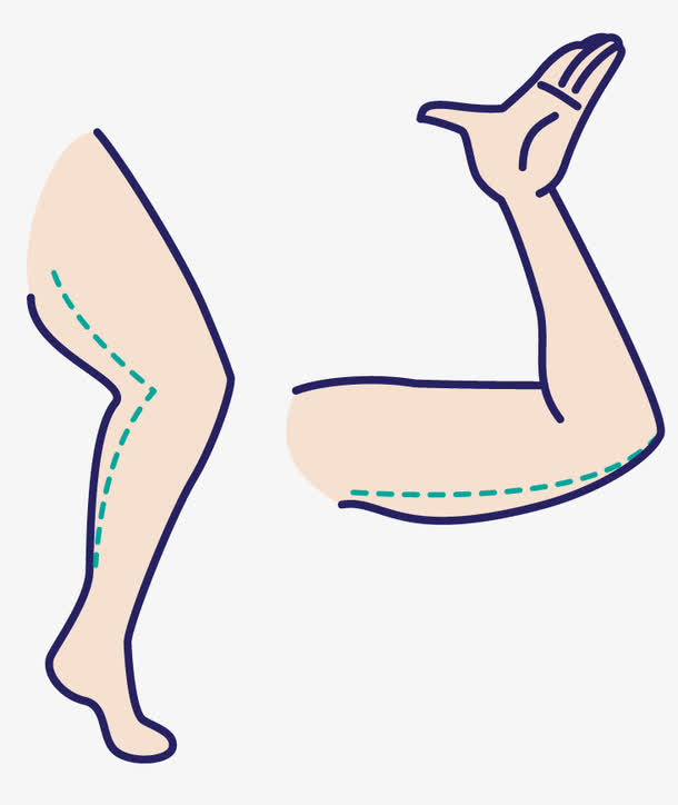 矢量人体局部腿胳膊免抠