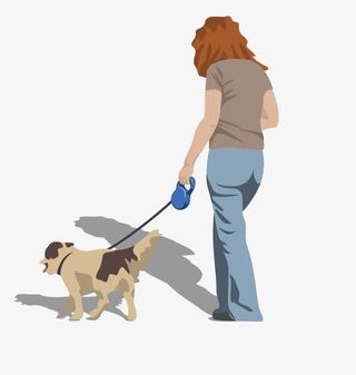 矢量遛狗人免抠