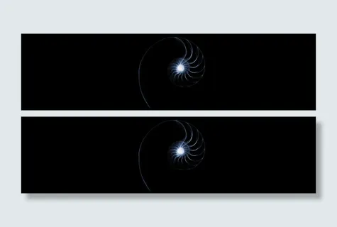 设计感蜗牛壳高光线条旋涡背景高清