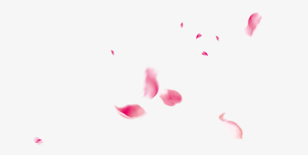 飘浮花瓣免抠