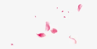 飘浮花瓣免抠