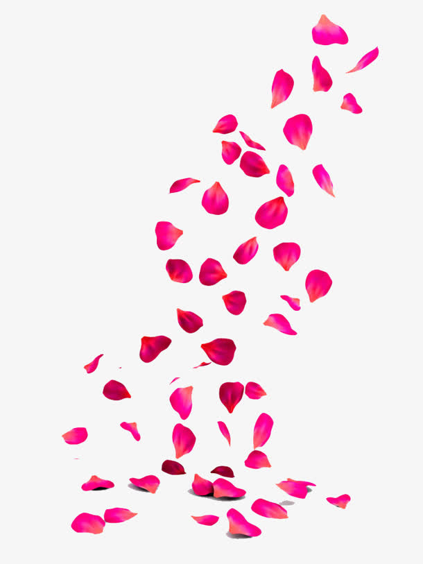 花瓣免抠